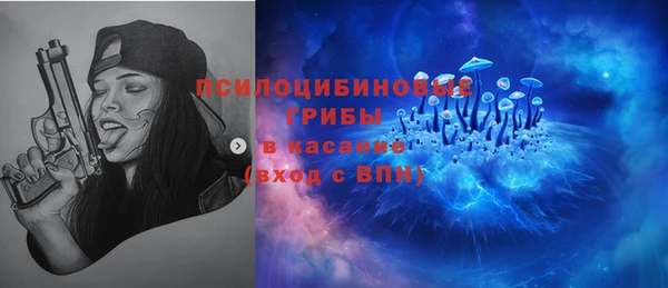 ешки Медногорск