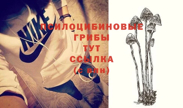 не бодяженный Медвежьегорск
