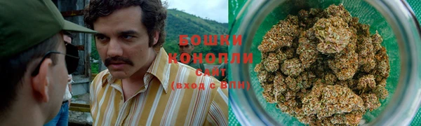 ешки Медногорск