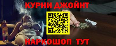 индика Гусь-Хрустальный