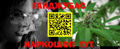 индика Гусь-Хрустальный
