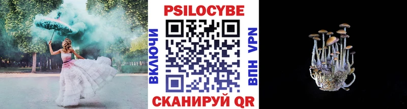 Псилоцибиновые грибы прущие грибы  продажа наркотиков  OMG как войти  Нововоронеж 