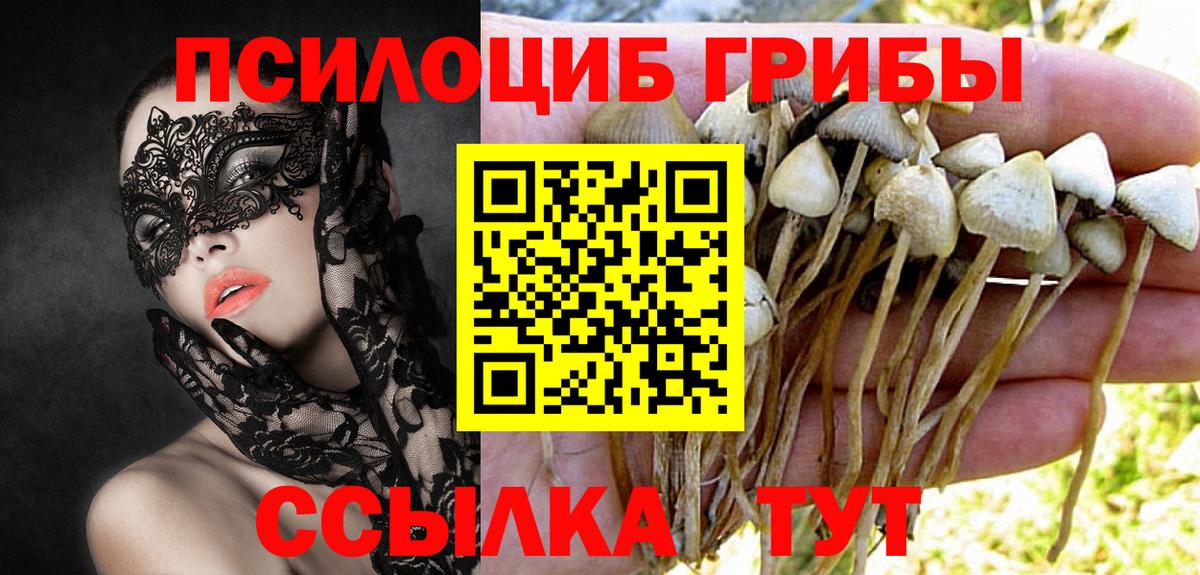 Галлюциногенные грибы ЛСД Нововоронеж