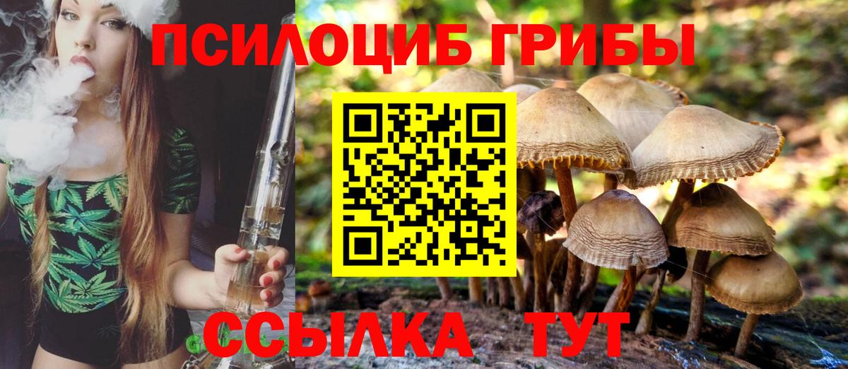 Галлюциногенные грибы мухоморы  Вход с VPN  Нововоронеж 
