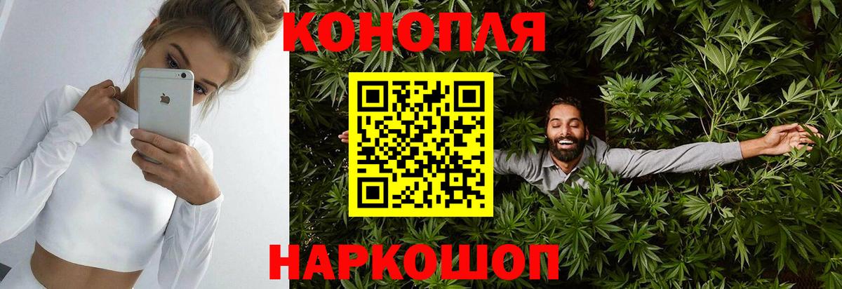 Марихуана гибрид Нововоронеж